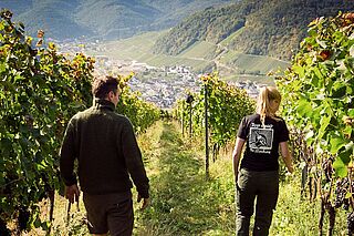 Bertram Baltes Winzer im Weinberg