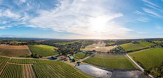 Luftaufnahme der Weinfelder vom Weingut