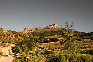 Taaibosch Weingut und Weinberge