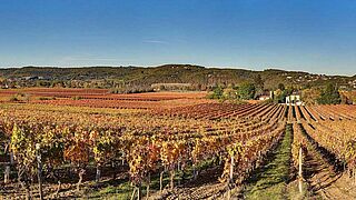 Cahors