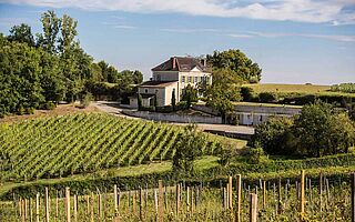 Weingut, Weinberge, Weinfelder, Domaine Capmartin