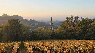 Haut-Ballet in Fronsac
