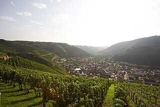 Weinberg von Meyer-Näkel Weinberg von Meyer-Näkel