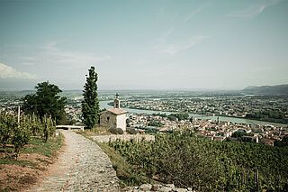 Chapoutier Weinberge und Blick auf Rhone