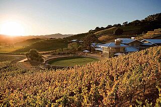 Weinregion Kalifornien, Weingut bei blauem Himmel