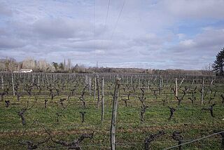Domaine des Huards