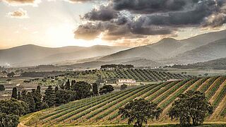 Maremma Maremma