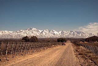 Weinberge vor Gebirge bei Altos Las Hormigas