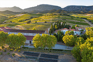 Weingut Mas Amiel