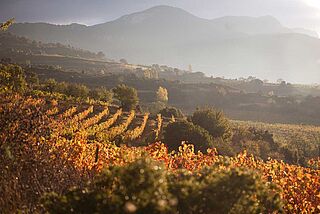 Weinberge Remelluri – Telmo Rodriguez
