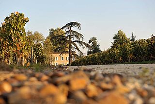 Weingut Jean Faure