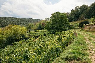 Eyman Weingut