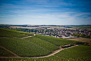 Weingut Domaine William Fevre