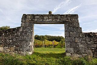 Weingut Domaine Filliatreau