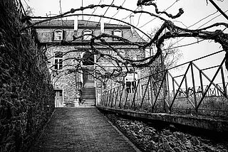 Vollenweider