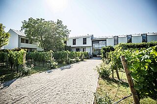 Kracher Weingut