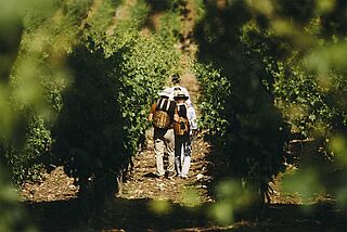 Cortijo Los Aguilares