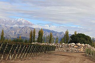 Mendoza Uco Valley Mendoza Uco Valley