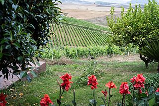 Spadafora Garten