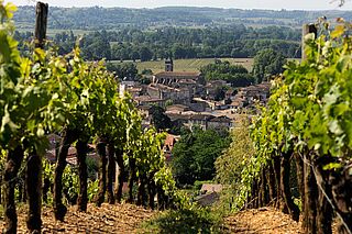 Wein Montlandrie