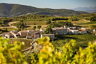 Weinberge der Domaine Garrabou