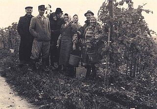 Neugründung des Weingutes