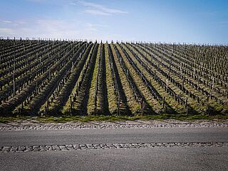 Lafite Rothschild