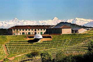 Weingut Ceretto