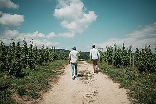 Chapoutier auf dem Weinberg