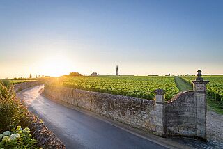 Chateau Canon Bordeaux