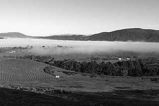 Weinberge von Timo Mayer