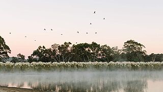 Region South Australia
