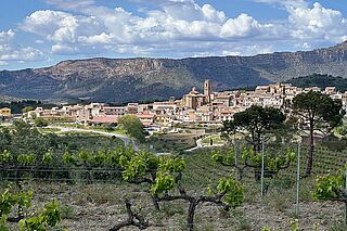 Weingut