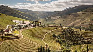 Douro Tal