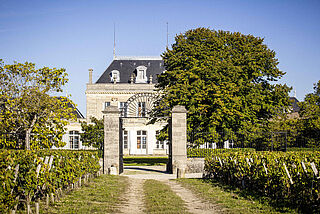 Le Boscq