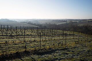 Domaine Baumard