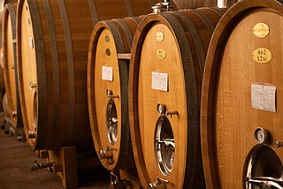 Cantina Terlan