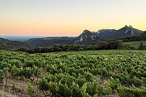 Reise an die Rhône 2025