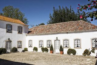Das Weingut