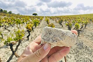 Terroir am Weingut