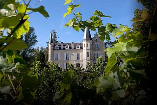 Weingut Haut Bergey