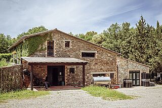 Lisini Weingut