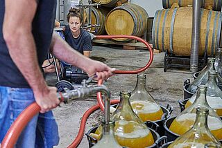 Weinabfüllung im Keller