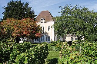 Weingut Jacquesson