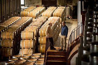 Weinkeller von Quinta do Vale Meao