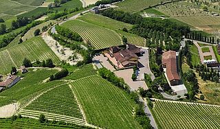Weinfelder, Weingut Berta aus Vogelperspektive