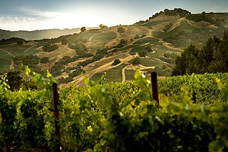 Vérité Winery