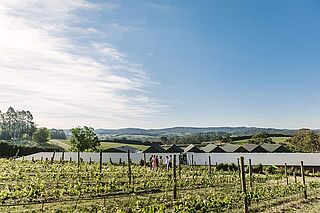 Weingut von Shaw & Smith