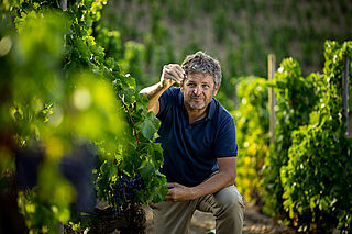 Weingut Alvaro Palacios