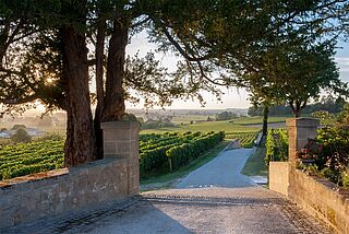 Weingut